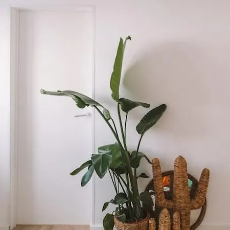 Casa Azul فيلة *